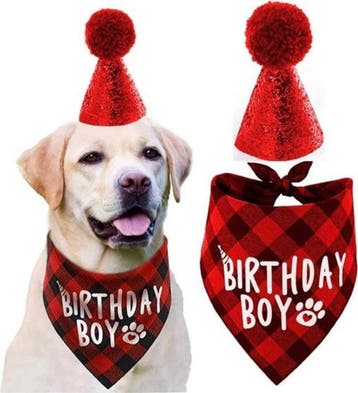 16-delige cupcake en taart topper set Happy Birthday Dogs, Dieren en Toebehoren, Verzenden, Nieuw