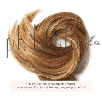 Phitofilos biologische henna haar poeder Castano Cannella -, Nieuw