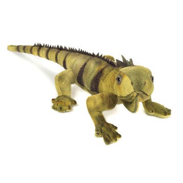 Leguaan knuffel - zacht pluche - groen - 49 cm, Verzenden, Nieuw