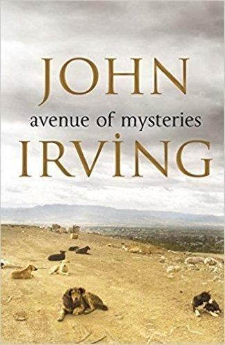 John Irving - John Irving 9780857521149, Boeken, Verzenden, Gelezen, John Irving