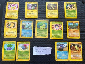 Pokémon Card - Totodile, Chikorita - WOTC, Hobby en Vrije tijd, Nieuw