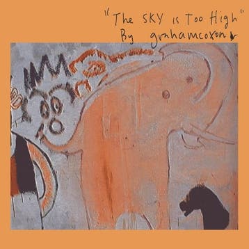 lp nieuw - graham coxon - THE SKY IS TOO HIGH (nieuw), Verzenden, Zo goed als nieuw, Overige formaten