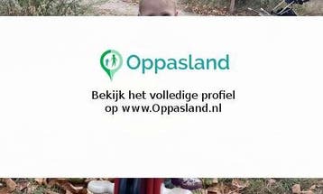 Tessa zoekt een oppas in Nijmegen voor 1 kind op vrijdag.