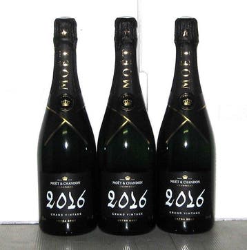 2016 Moët & Chandon, Grand Vintage - Champagne Extra Brut -, Nieuw