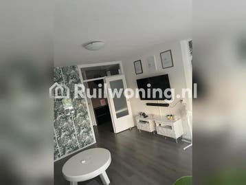 Geweldige flat voor kleine gezinnen in Delft