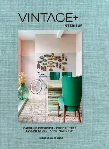 Vintage + interieur - Eveline Stoel 9789493095731, Boeken, Verzenden, Gelezen, Eveline Stoel