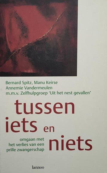 Tussen iets en niets - Bernard Spitz - 9789020934441 - Paper, Verzenden, Nieuw