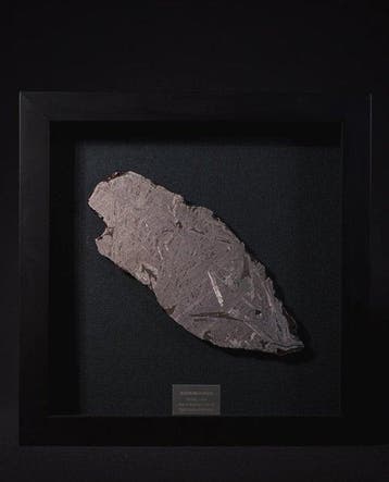 Aletai meteoriet IJzer meteoriet - 313 g - (1), Verzamelen, Mineralen en Fossielen
