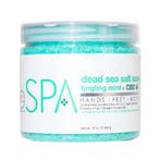 BCL SPA  Dead Sea Salt Soak CBD  454 gr, Verzenden, Nieuw