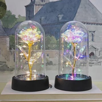 Eeuwige Roos met LED Licht - Magische Folie Bloem voor Valen, Verzenden, Nieuw