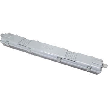 LED Waterdichte TL Armatuur - Velvalux Strela - 60cm -, Ophalen of Verzenden, Nieuw
