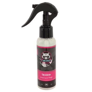 Racoon Tidy Interior Interireiniger 100ml, Verzenden