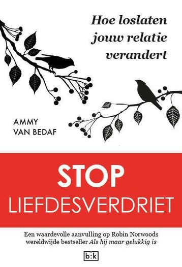 Stop Liefdesverdriet | Ammy Bedaf | Nieuw, Ophalen of Verzenden, Nieuw, Ammy Bedaf