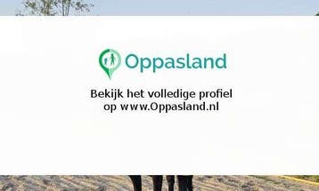 Ik ben Ismay, 16 jaar oud en ik zoek oppaswerk in Ens., Diensten en Vakmensen, Oppas en Kinderopvang