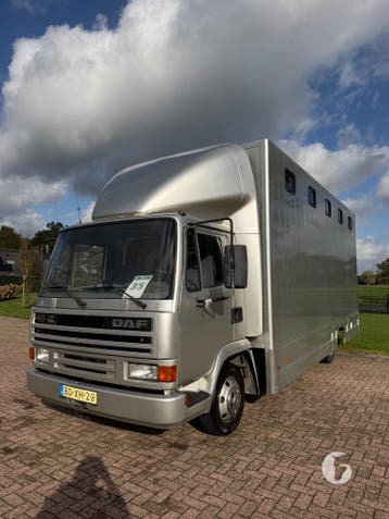 Oerdegelijke DAF Paardenvrachtwagen Alu opbouw!, Ophalen, Zo goed als nieuw, Aluminium, 2-paards trailer