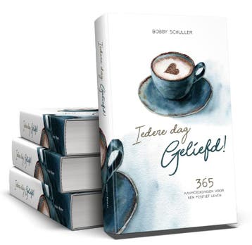 Iedere dag geliefd - Bobby Schuller 9789078893783, Verzenden, Gelezen, Bobby Schuller