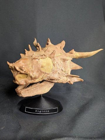Fossiele schedel - Elginia - Museum-Grade Replica - 19 cm -