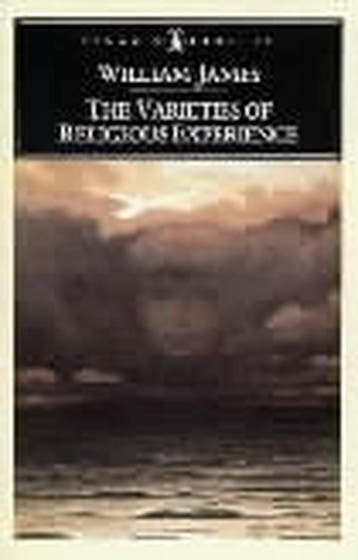PC Varieties Of Religious Experience - William James, Verzenden, Gelezen, William James