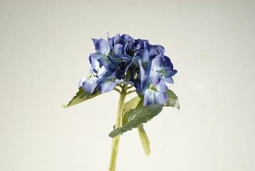 Hortensia Hydrangea Blauw VVD Zijdenbloem, Ophalen of Verzenden, Nieuw