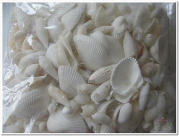 Schelpenmix Wit 650 gram, Ophalen of Verzenden, Nieuw