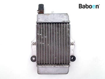 Radiateur Honda SES 125 Dylan 2002-2004 (SES125 KPZ), Motoren, Verzenden, Gebruikt