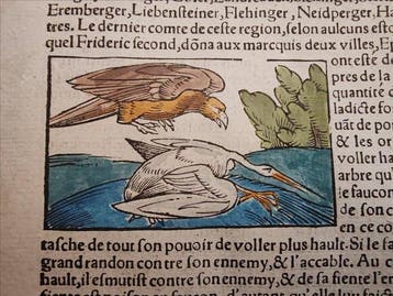 Sebastian Münster (1489–1552) - Cosmographie Universelle -