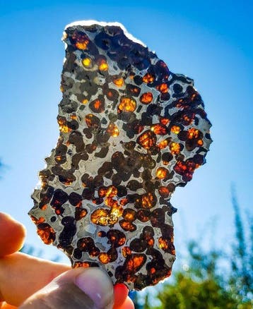 Pallasiet HQ Sericho pallasite - Hoogte: 11.5 cm - Breedte: