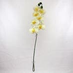 Panda Orchidee Spray Creme Zijden, Huis en Inrichting, Woonaccessoires | Kunstplanten en Kunstbloemen, Ophalen of Verzenden, Nieuw