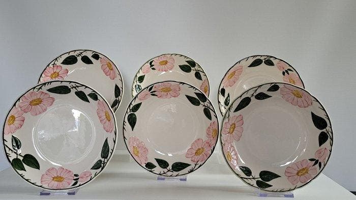 Villeroy & Boch - Bord (6) - Wild-Rose - Vitro-Porzellan -, Antiek en Kunst, Antiek | Meubels | Tafels