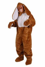 Paashaas Pak luxe met Hangoren, Verzenden, Nieuw