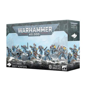 grey hunters - space wolves:, Ophalen of Verzenden, Nieuw