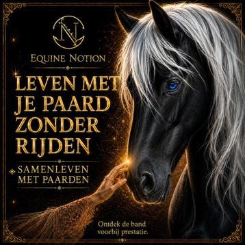 Leven met je paard zonder rijden · Privéconsulting, Stalling of Weidegang