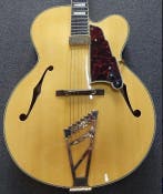 DAngelico - EXL-1 - - Semi-hollow body gitaar, Muziek en Instrumenten, Nieuw
