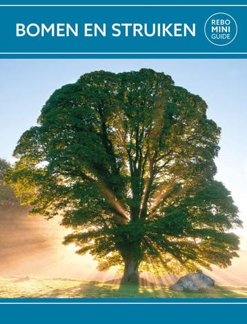 Bomen en struiken - Rebo mini guide (Goed), Verzenden, Nieuw, Hanneke van Dijk