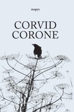 Corvid Corone - MSPYX 9789493230743, Verzenden, Zo goed als nieuw, MSPYX