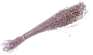Lino Grass Vlas Linum Droogbloem Bundel Pink 100 gram, Huis en Inrichting, Ophalen of Verzenden, Nieuw