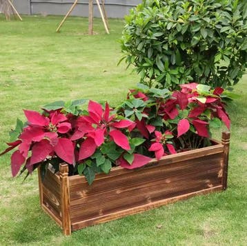 Houten Vensterbank Plantenbak voor Tuin Bloemen en Groenten, Boeken, Verzenden, Nieuw