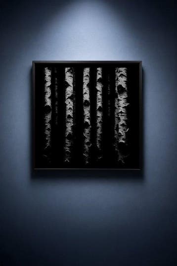 Tijs Dragtsma (1992) - Eyes Beneath the Bark