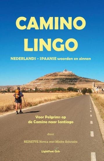 Camino Lingo - Nederlands - Spaanse Woorden En Zinnen, Boeken, Verzenden, Gelezen, Reinette Novoa