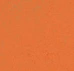 Forbo Marmoleum Concrete 3738 orange glow, Verzenden, Nieuw