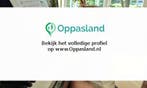 Judith zoekt een oppas in Rijswijk voor 1 kind op donderdag.