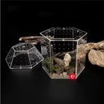 Mini Reptielen Terrarium Acryl met Ventilatie voor Spin, Verzenden, Nieuw