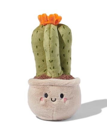 HEMA Knuffel 10x10x21cm cactus, Verzenden, Nieuw