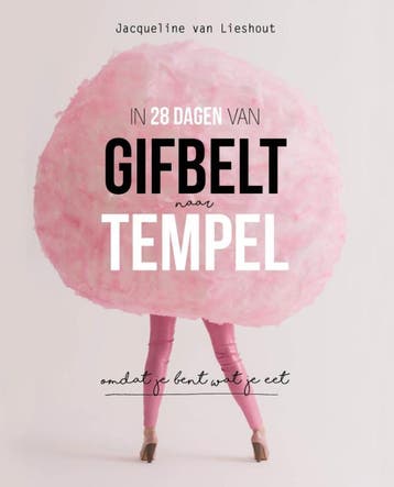 In 28 dagen van gifbelt naar tempel - Jacqueline van, Verzenden, Zo goed als nieuw, Jacqueline van Lieshout