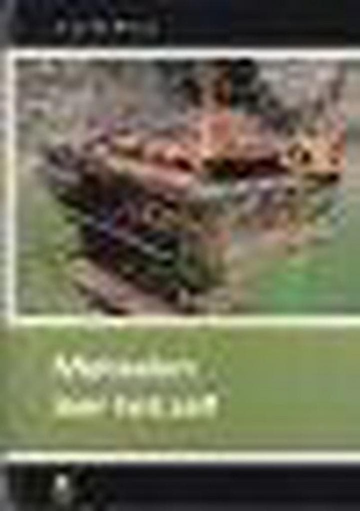 METSELEN LEER HET ZELF 9789021025544 Westra, Boeken, Hobby en Vrije tijd, Gelezen, Verzenden