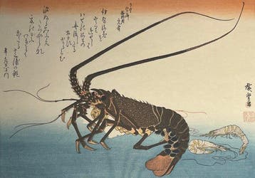 [Utagawa Hiroshige /  (1797–1858)] Ise Lobster and Shiba