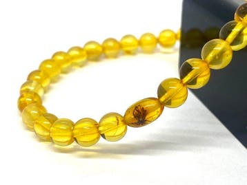 Baltisch amber armband met zeldzaam insect - ronde kralen