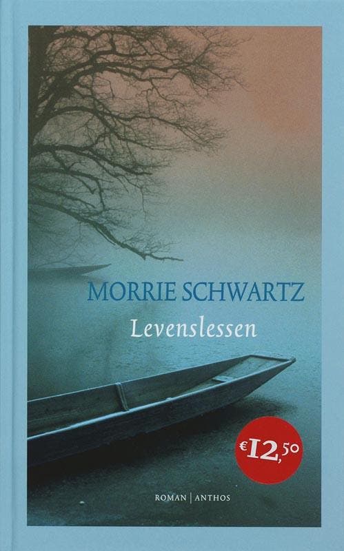 Levenslessen - M. Schwartz 9789041410313, Boeken, Psychologie, Gelezen, Verzenden
