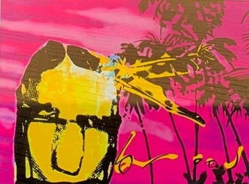Herman Brood (1946-2001) - Pink indian