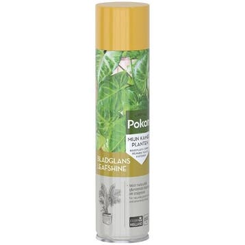 Pokon bladglans (Natuurlijke glans, 600 ml), Verzenden, Nieuw